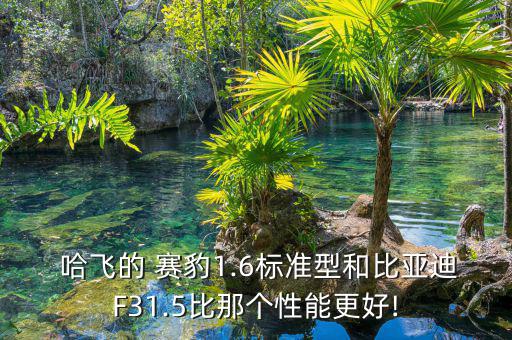  哈飞的 赛豹1.6标准型和比亚迪F31.5比那个性能更好!