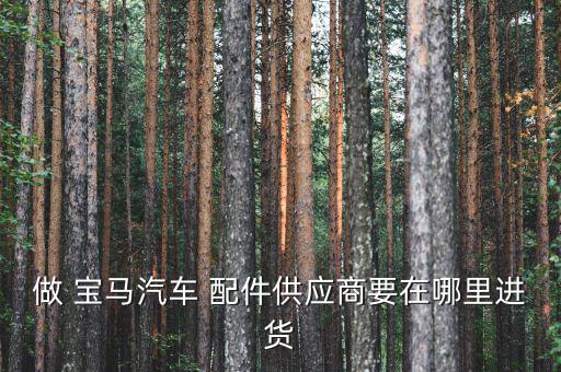 宝马车型上都有那些配件厂商制造,关于宝马的五件事