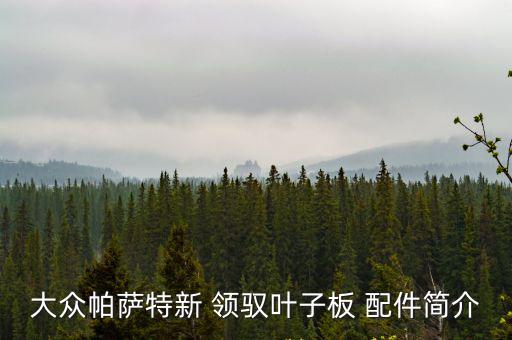 大众帕萨特新 领驭叶子板 配件简介