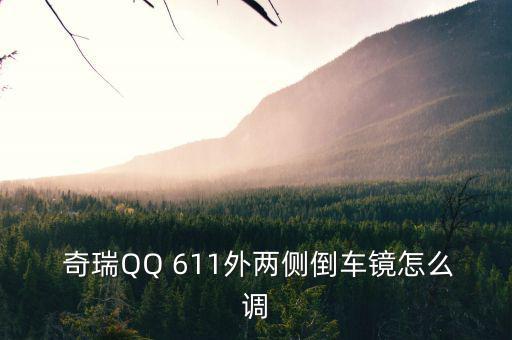 奇瑞QQ 611外两侧倒车镜怎么调