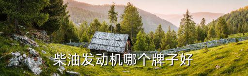 柴油发动机哪个牌子好