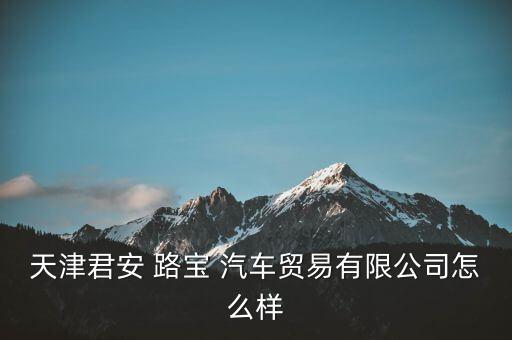 天津君安 路宝 汽车贸易有限公司怎么样