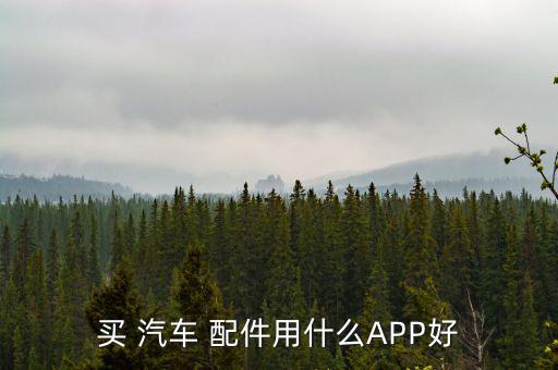 汽车胶条配件网上商城,汽车配件app如何帮您购物?