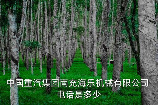 中国重汽集团南充海乐机械有限公司 电话是多少
