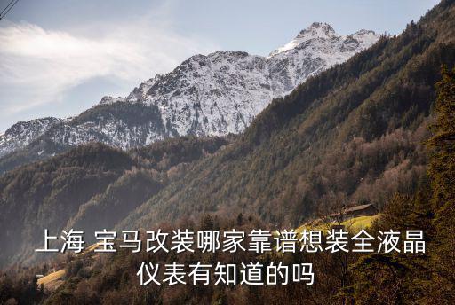 上海宝马配件批发,萨维尔猫头鹰专营儿童汽车用品网上销售