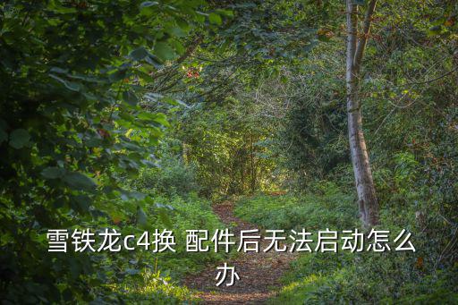  雪铁龙c4换 配件后无法启动怎么办
