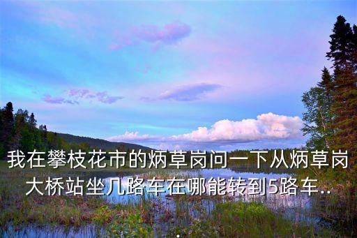 我在攀枝花市的炳草岗问一下从炳草岗大桥站坐几路车在哪能转到5路车...