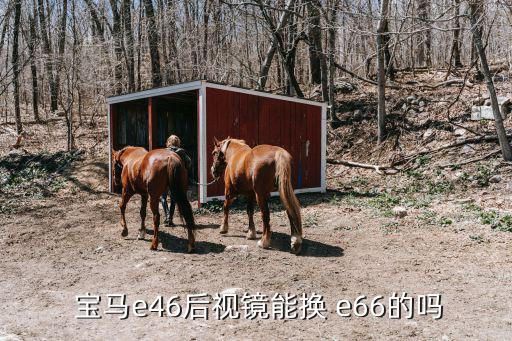  宝马e46后视镜能换 e66的吗