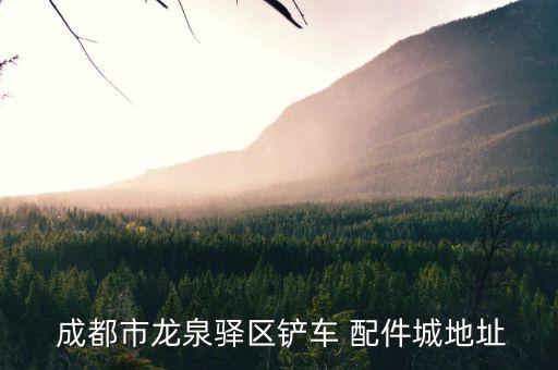  成都市龙泉驿区铲车 配件城地址