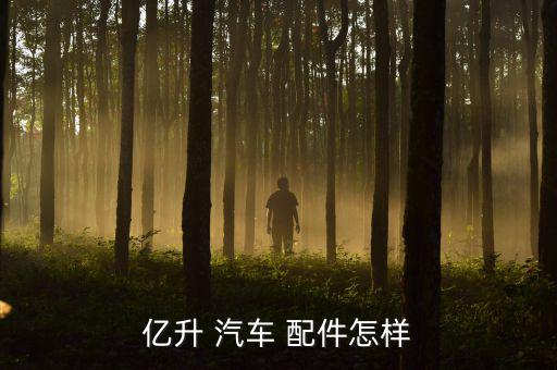 亿升 汽车 配件怎样