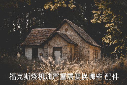  福克斯烧机油严重需要换哪些 配件
