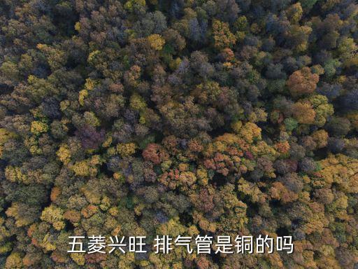 五菱汽车配件排气管,汽车排气管道损坏的影响