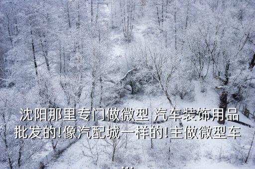  沈阳那里专门做微型 汽车装饰用品批发的!像汽配城一样的!主做微型车...