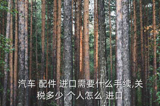  汽车 配件 进口需要什么手续,关税多少,个人怎么 进口