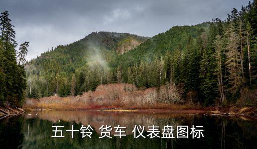 货车仪表盘配件,福田肖车表盘故障灯解答（14）