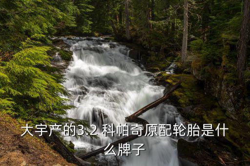 哪里能买到科帕奇原厂配件,科帕奇导航知多少?问与答（13）