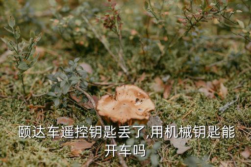  颐达车遥控钥匙丢了,用机械钥匙能开车吗