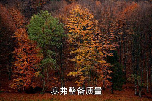  赛弗整备质量