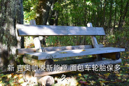 购买吉奥面包车配件,新吉奥汽车品牌coc吉奥昆明上架
