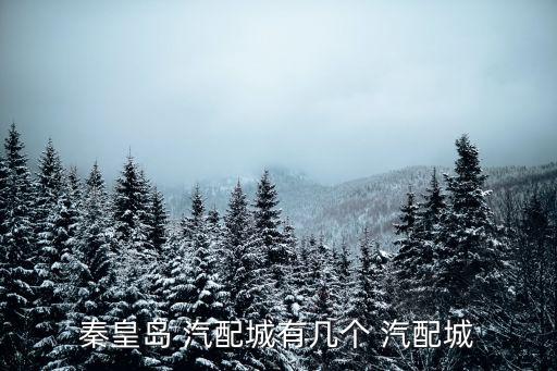 秦皇岛 汽配城有几个 汽配城
