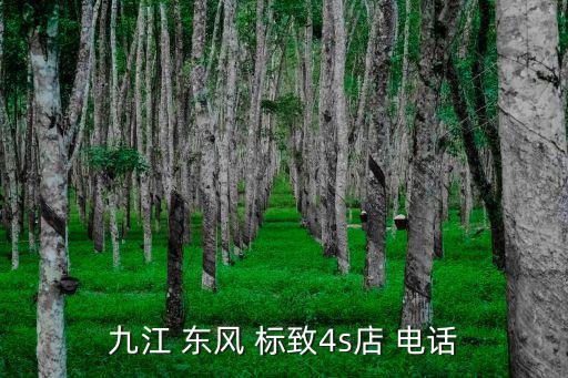 九江 东风 标致4s店 电话