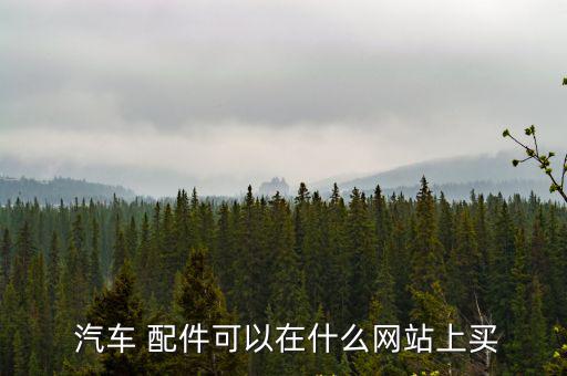 买汽车配件,汽车配件知多少?问与答（13）
