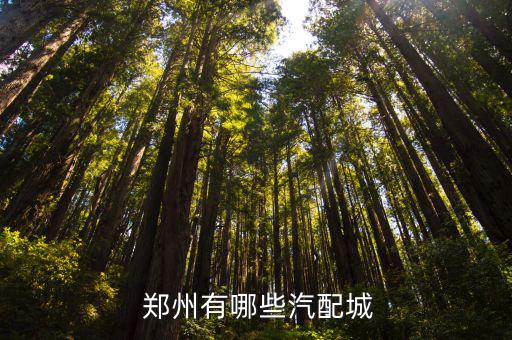  郑州有哪些汽配城