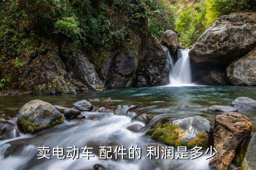 卖电动车 配件的 利润是多少