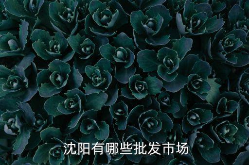  沈阳有哪些批发市场