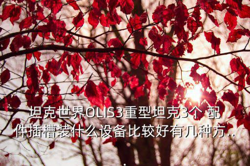 坦克世界OLIS3重型坦克3个 配件插槽装什么设备比较好有几种方...