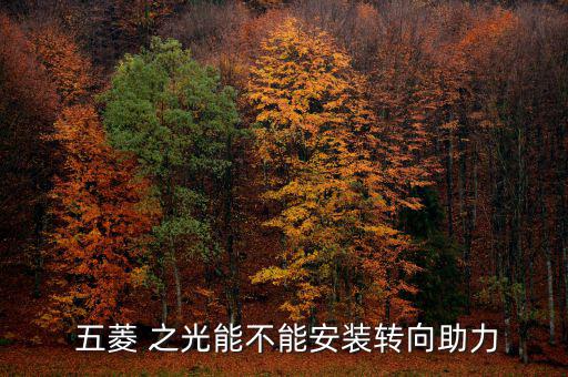  五菱 之光能不能安装转向助力