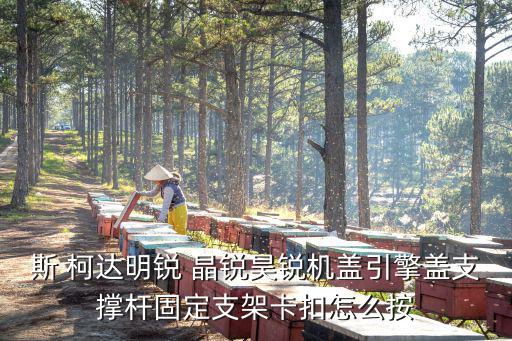 斯 柯达明锐 晶锐昊锐机盖引擎盖支撑杆固定支架卡扣怎么按