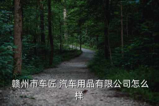  赣州市车匠 汽车用品有限公司怎么样