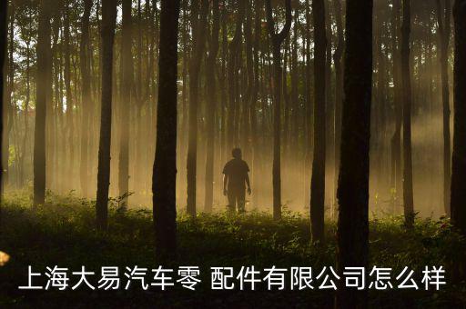 上海大易汽车零 配件有限公司怎么样