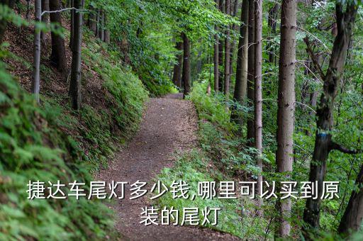 捷达汽车配件大全集,大型零配件供应商或能拿到捷达原装尾灯