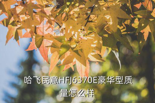 哈飞民义所有配件,吉林东北一对一汽油泵维修疑问解答