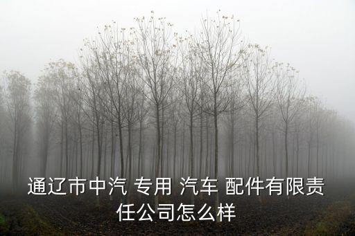 通辽市中汽 专用 汽车 配件有限责任公司怎么样