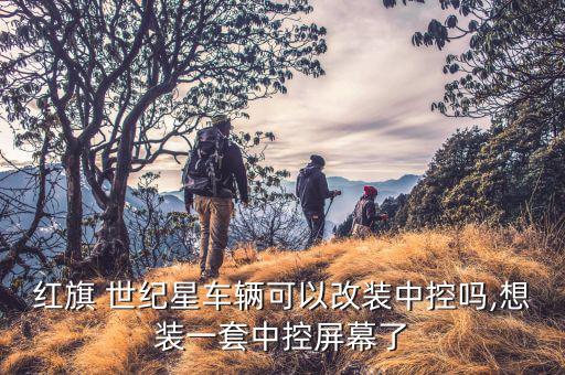红棋轿车世纪星配件,红旗车可以改装安装中控屏配件也是进口的