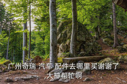 广州奇瑞 汽车 配件去哪里买谢谢了,大神帮忙啊