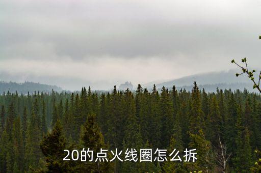 如何拆卸别克英朗点火线圈，20的点火线圈怎么拆