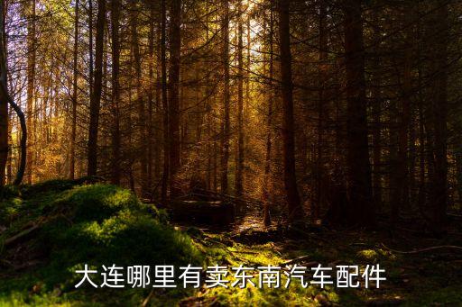 大连哪里有卖东南汽车配件