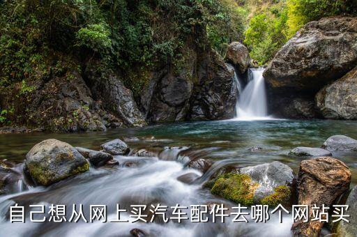 自己想从网上买汽车配件去哪个网站买