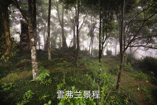 雪弗兰景程