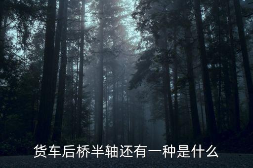 和后桥半轴连接的那一部分叫什么，装载机后轮内部连接半轴的齿和齿圈全名叫什么