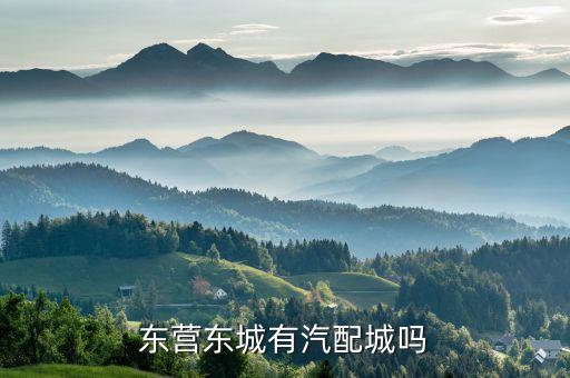 东营汽配城在哪里，请问下东营哪里卖大车配件的多或者做大车配件的汽配城