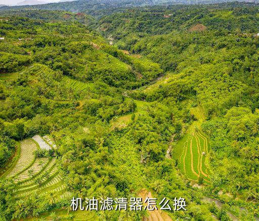 机油滤清器怎么换