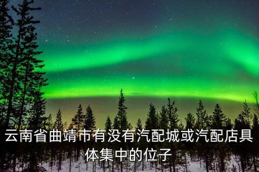 云南省曲靖市有没有汽配城或汽配店具体集中的位子