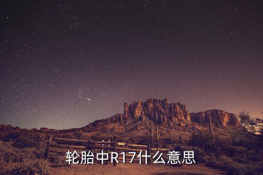 轮胎中R17什么意思