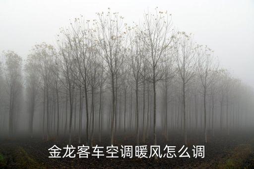 金龙客车空调暖风怎么调