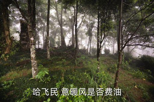 哈飞民意暖风怎么样，哈飞民意怎么样